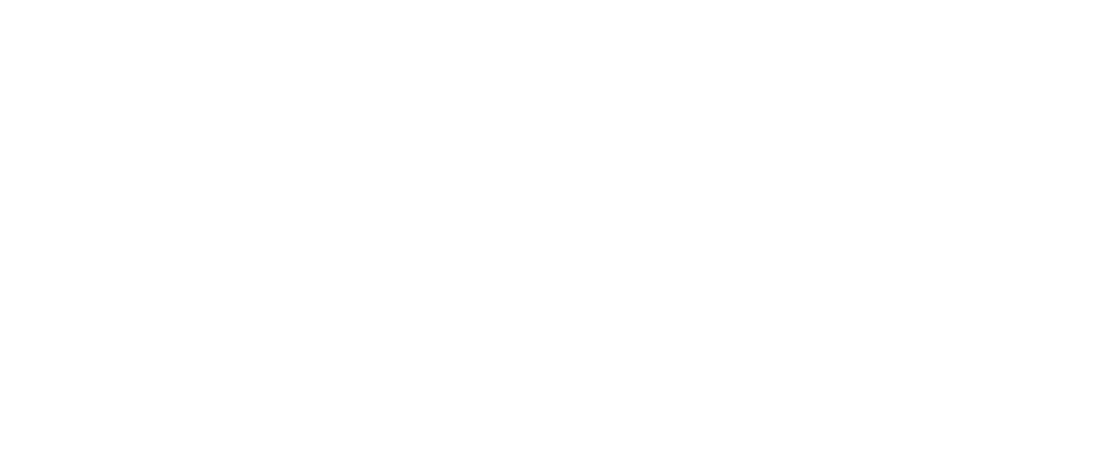 vyv